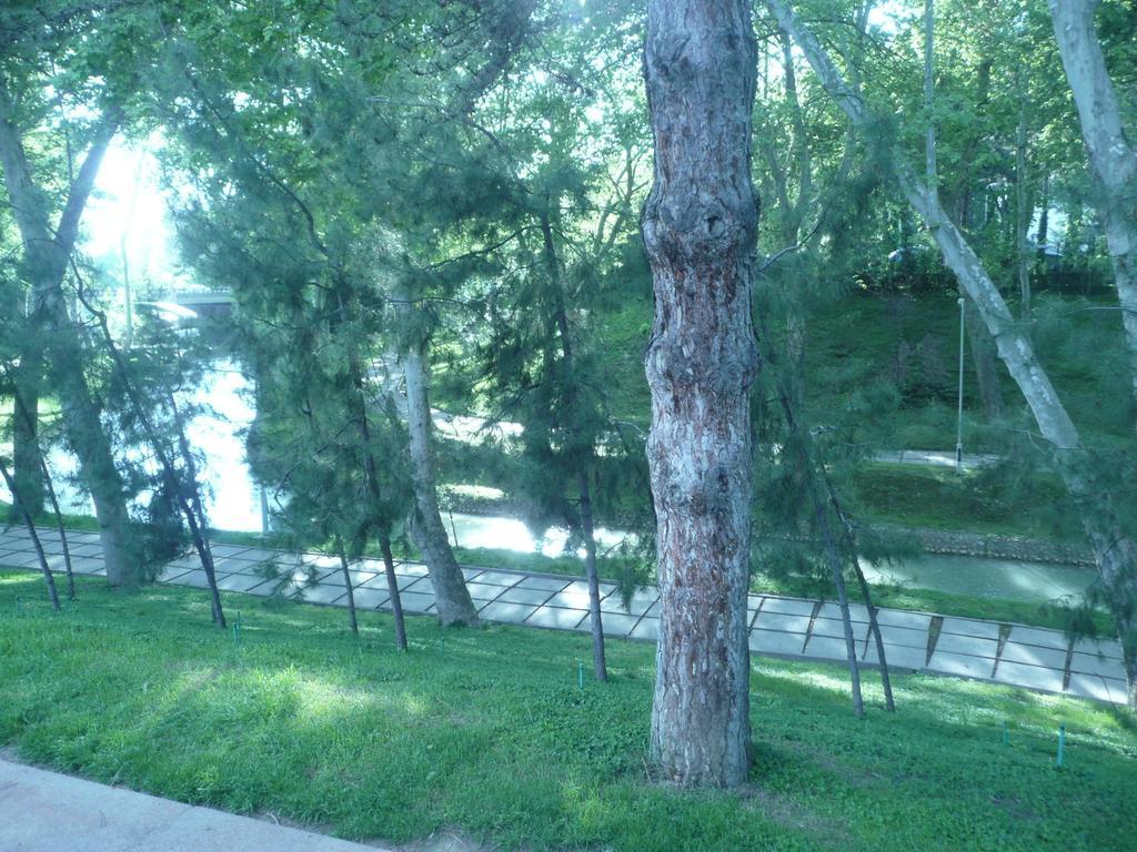 Apartment Tsentr 5 Τασκένδη Δωμάτιο φωτογραφία